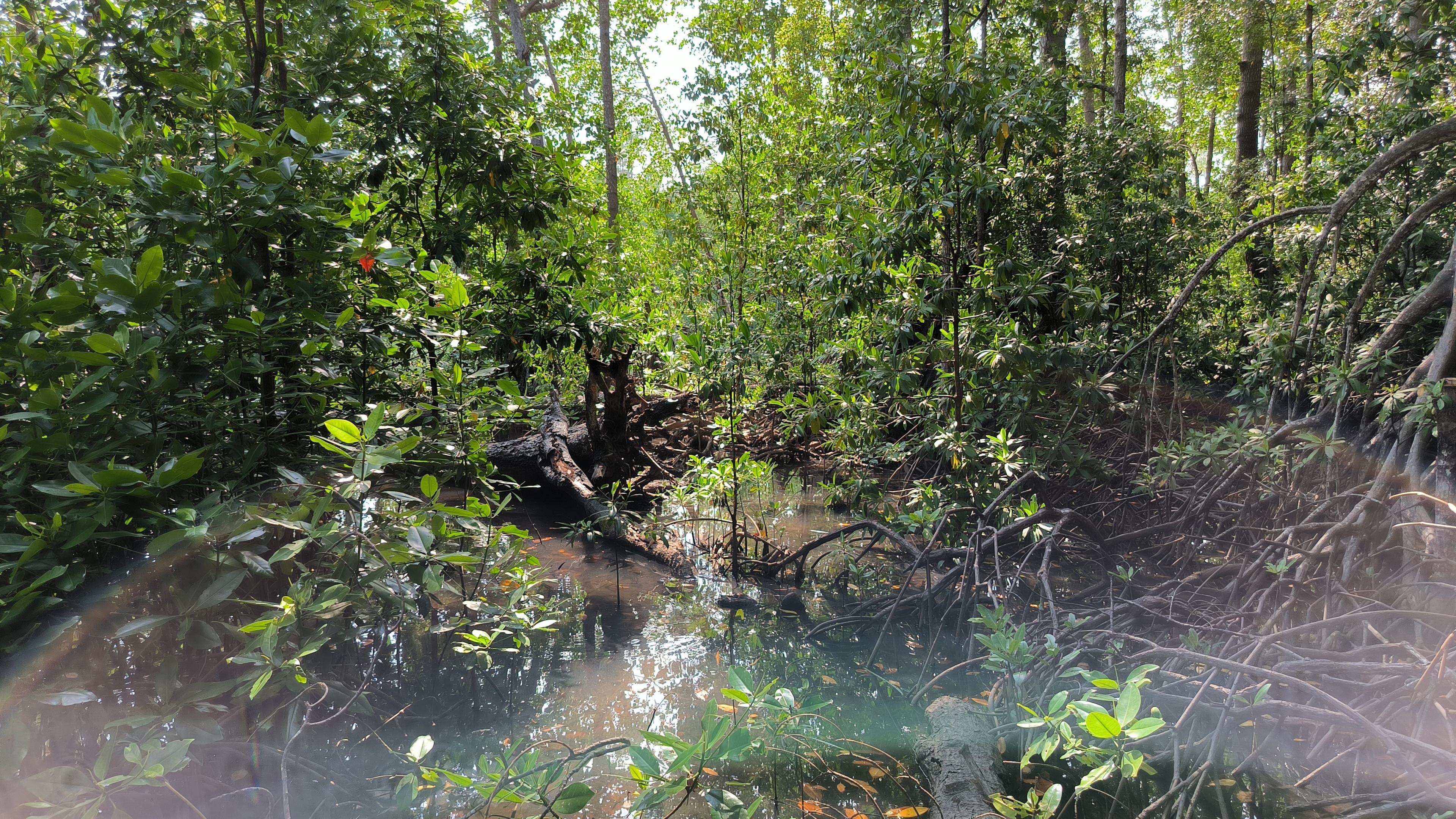 Buru Integrated Sustainable Landscape Project